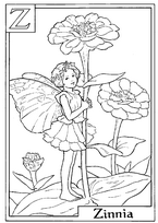 coloriage fee zinnia